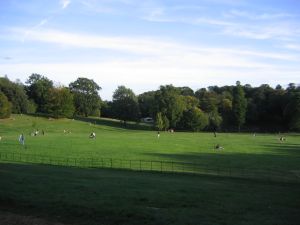 A picture of Hampstead Heath
